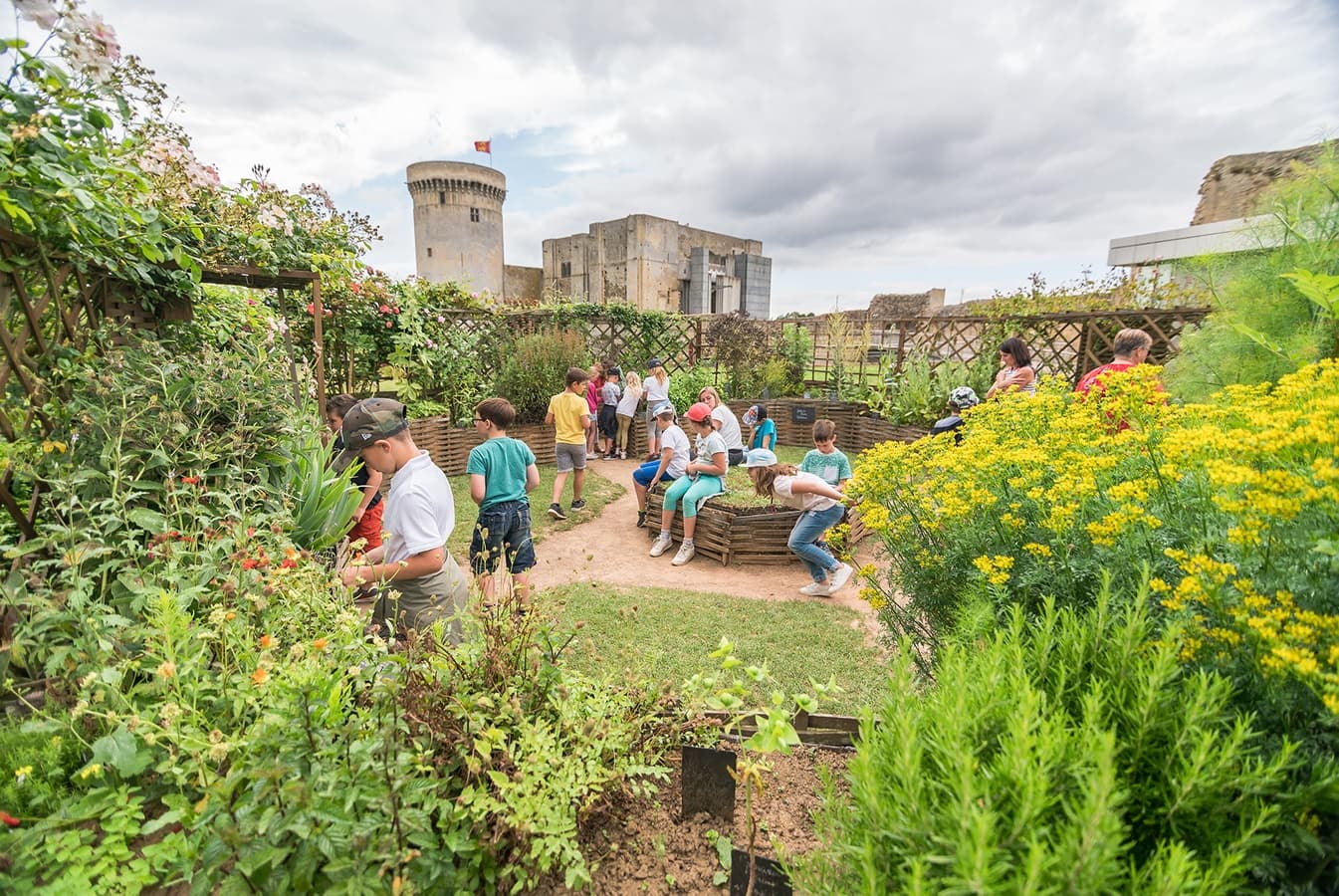 Le jardin du château Château Guillaume le Conquérant FALAISE