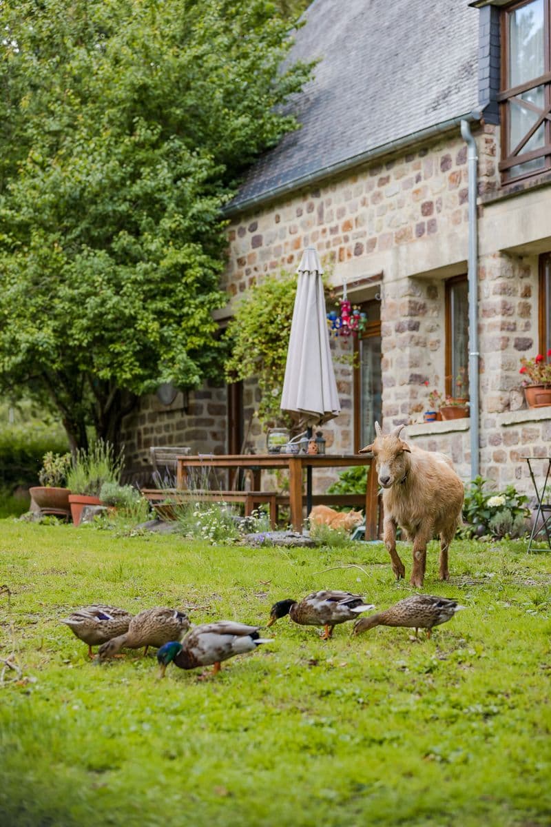 normandy-inn-montbray-16