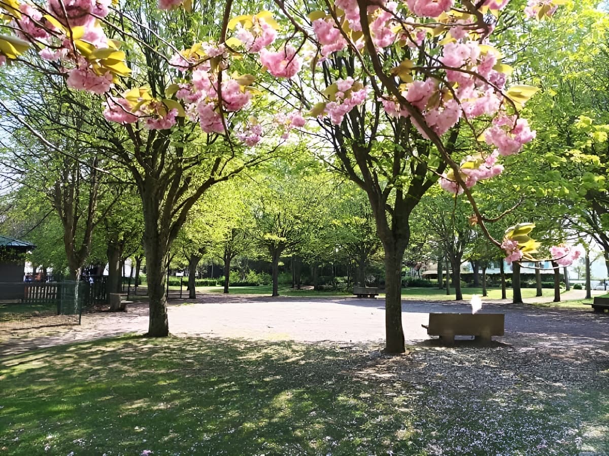 parc verdun (5)