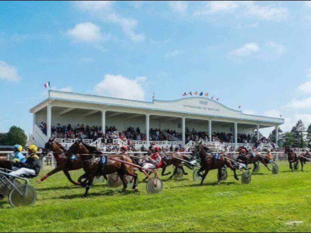 Courses hippiques