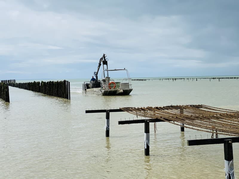 produits du terroir gouville sur mer macé ostreiculteur (2)