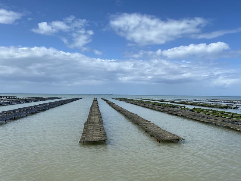 produits du terroir gouville sur mer macé ostreiculteur (3)