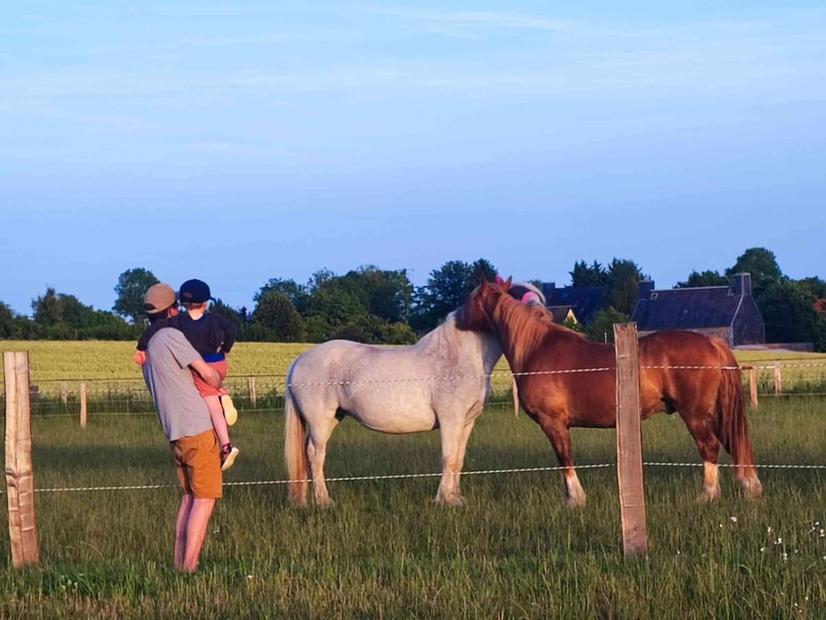 proximité des chevaux