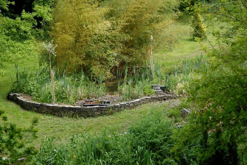 rampan-jardin-le-pre-du-moulin-1
