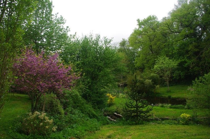 rampan-jardin-le-pre-du-moulin-2