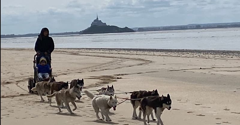 saint-jean-le-thomas-équipement-association-husky (1)