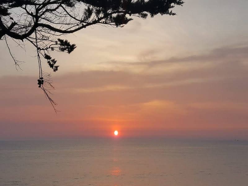 saint-pair-sur-mer-meuble-villa-les-ondes-19