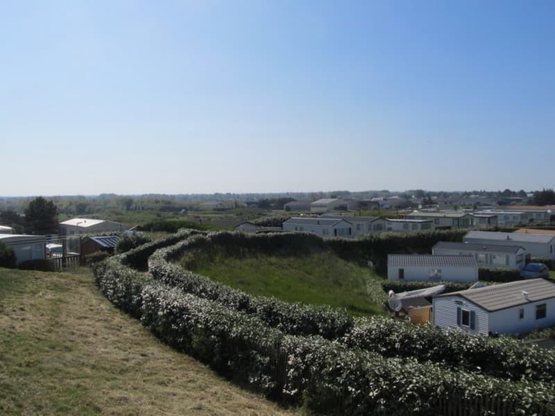 sénéquet 4
