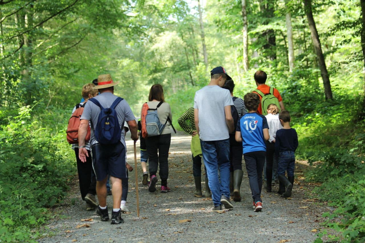 sortie-nature-foret-IOI
