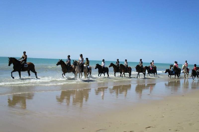 sortie-plage-ecuries-pirou