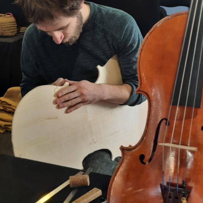 Luthier William Scotto di Appolonia