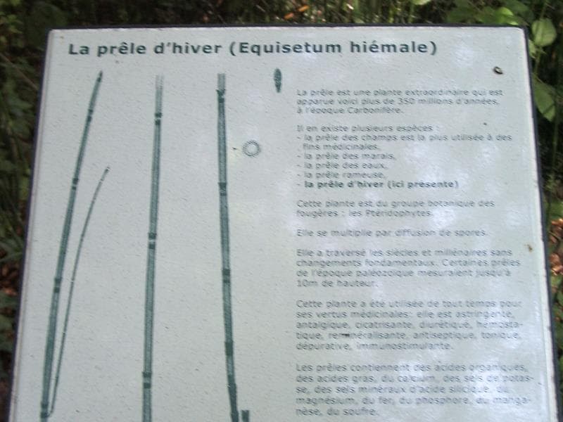 Site du Herapel