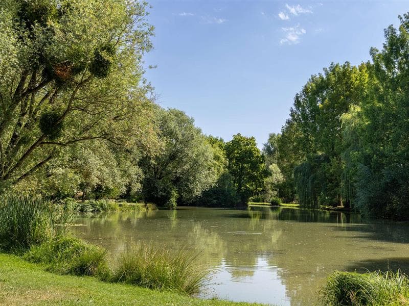 Parc de l'Embanie