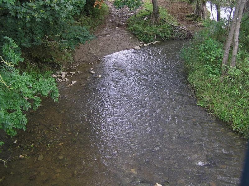 Pêche les Pêcheurs de la Blette