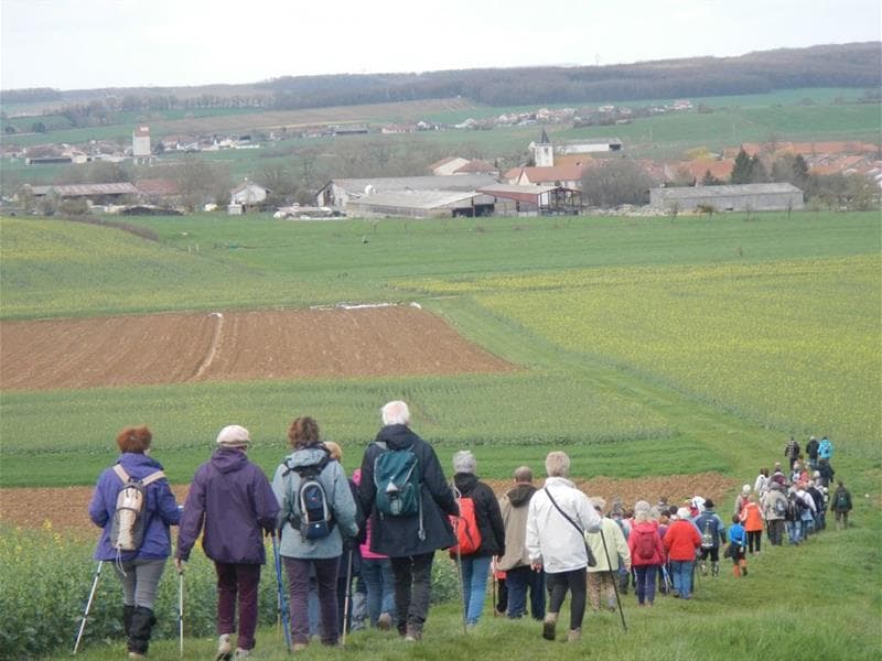 Les randonneurs du sânon et du lunévillois