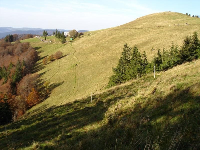 Le Drumont