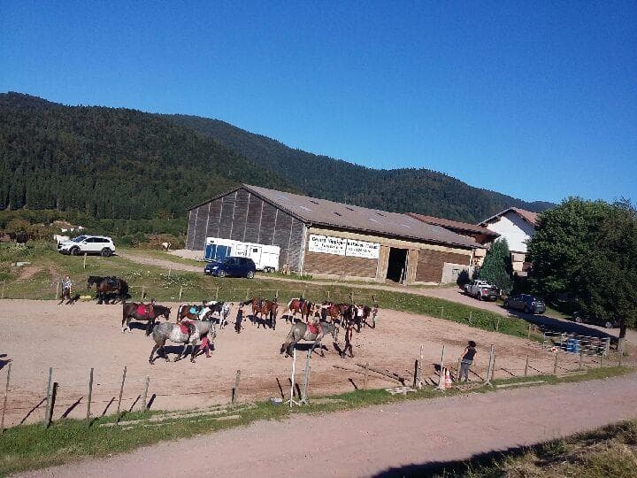 Centre hippique du Ballon d'Alsace - La Jumenterie