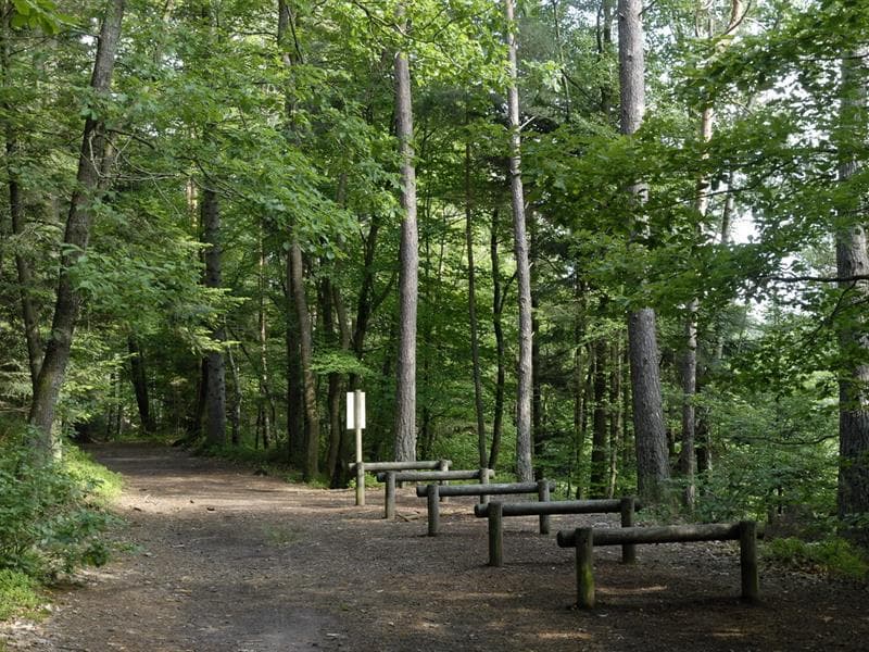 Parcours de santé