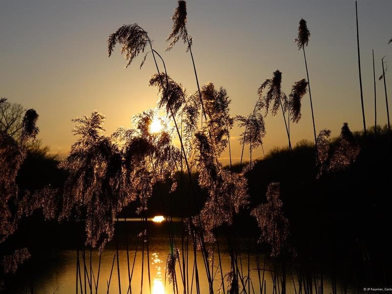 Site des Lacs de la Folie