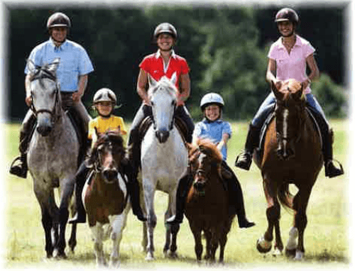 Vittel Rond Pré équitation