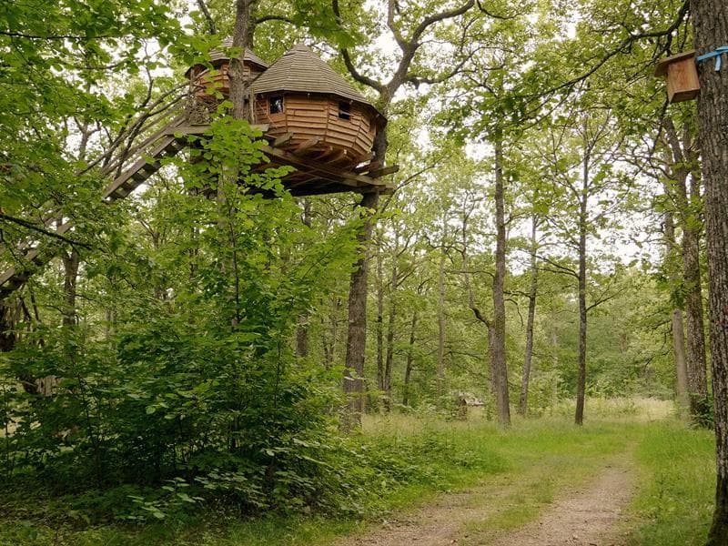 Forêt parc