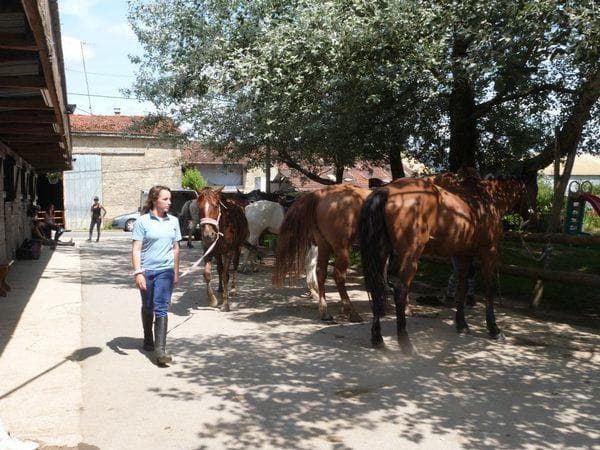 Centre équestre le Ranch