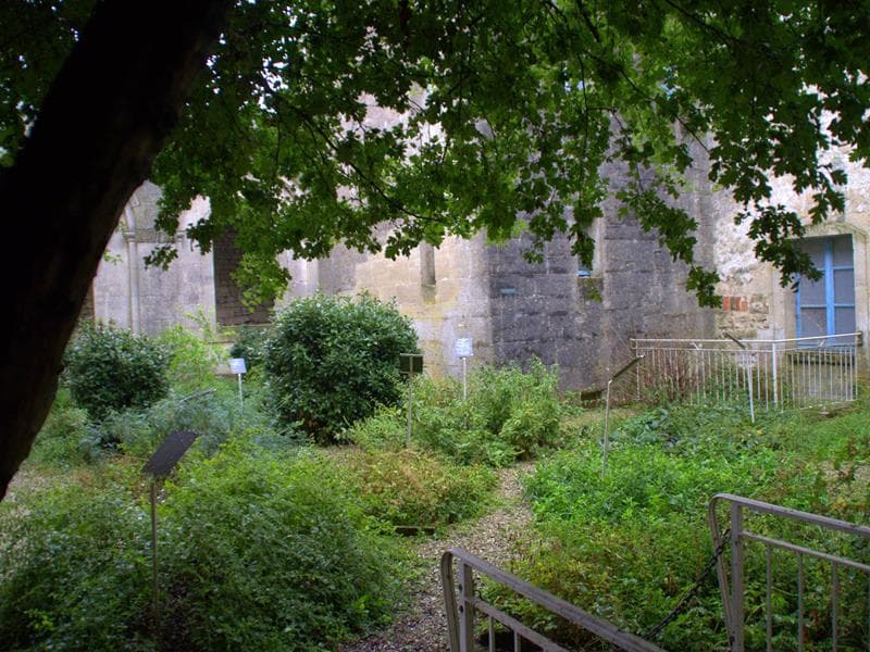 Jardin de simples - Jovilliers