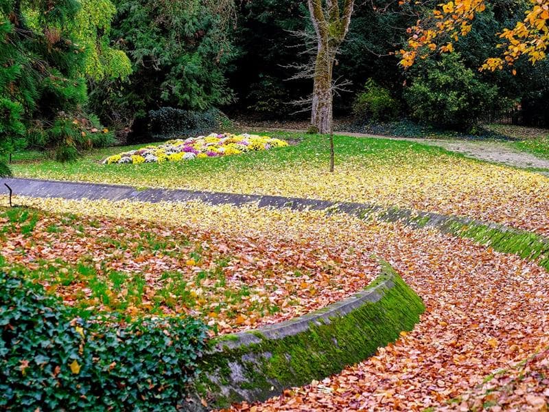 Parc de Marbeaumont