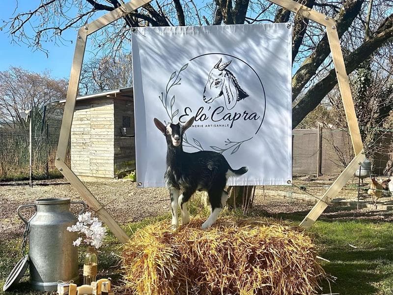 Elo'Capra - Savonnerie Artisanale