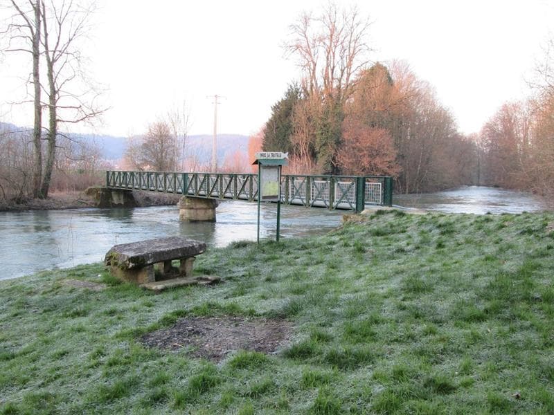 Ateliers pêche nature