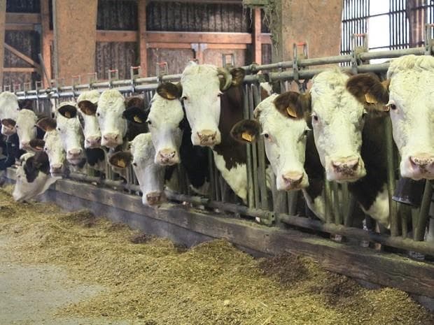 Ferme monplaisir