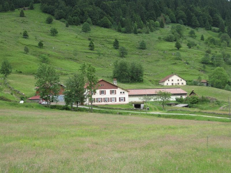 Appartement 5 personnes - L'appart' du Saichy - Dans une ferme en activité
