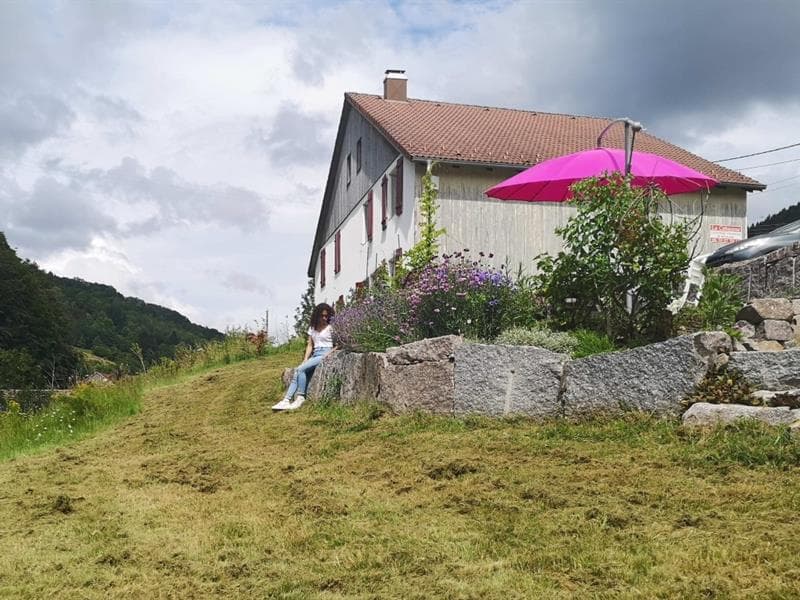 Appartement duplex 6 personnes - Moyenmont - Ambiance nature vue forêt et rivière - Bol d'air