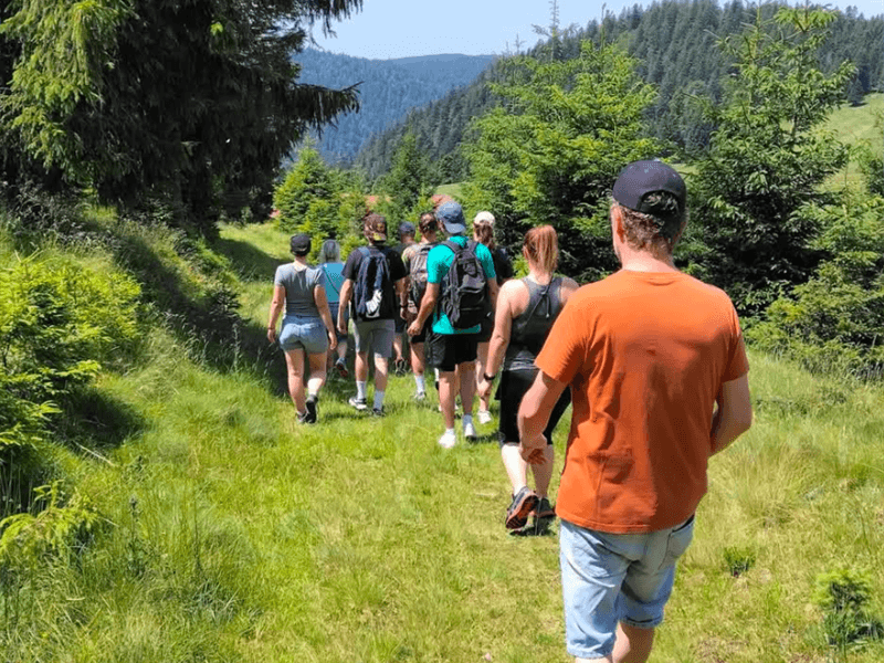 Bureau Montagne Hautes-Vosges