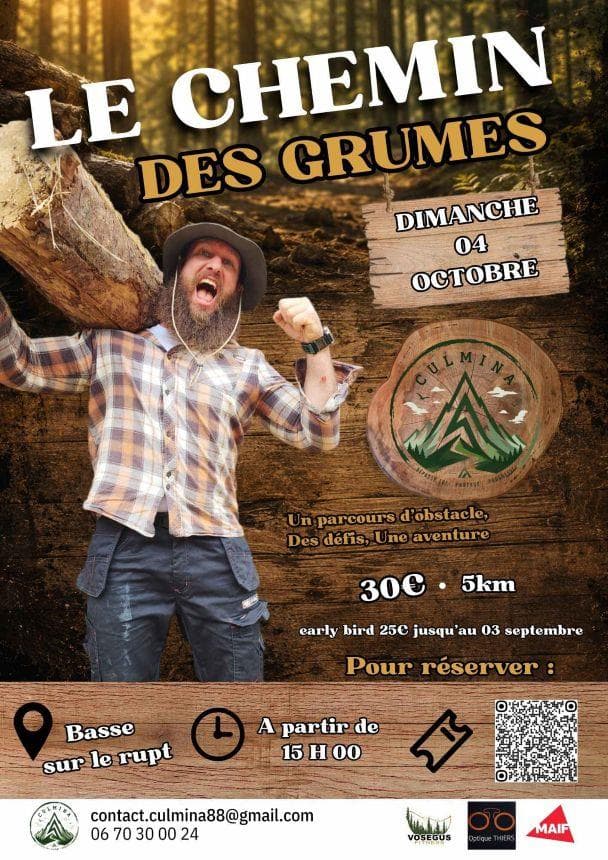 Course d'obstacles le chemin des grumes