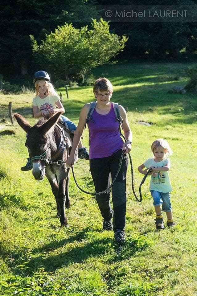 Ferme des Prés en Bulles - location d'anes