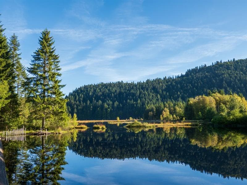 Le lac de lispach