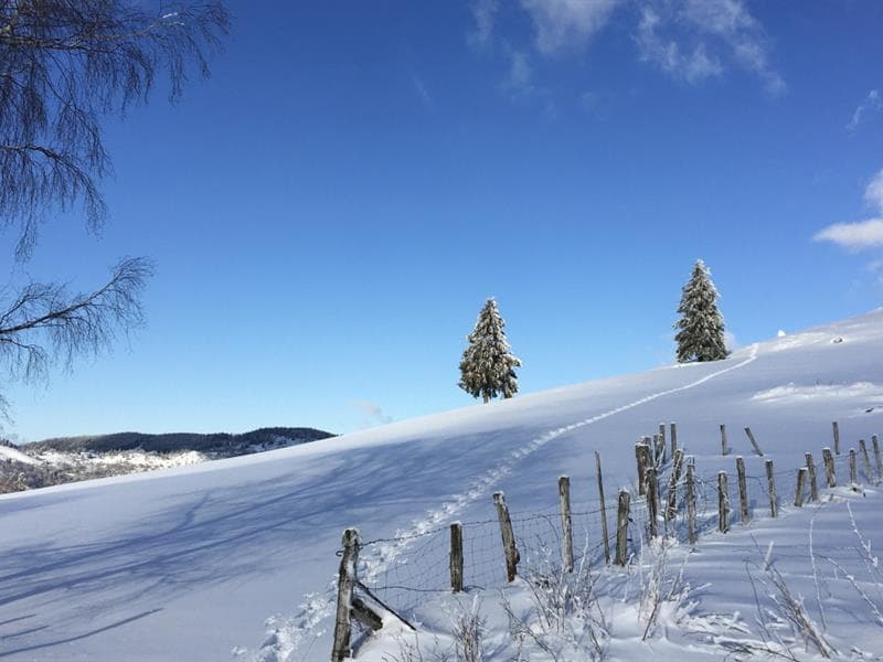 Verticales Vosges : via ferrata