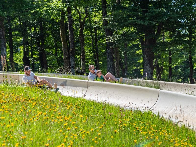 Luge d'été à la Schlucht