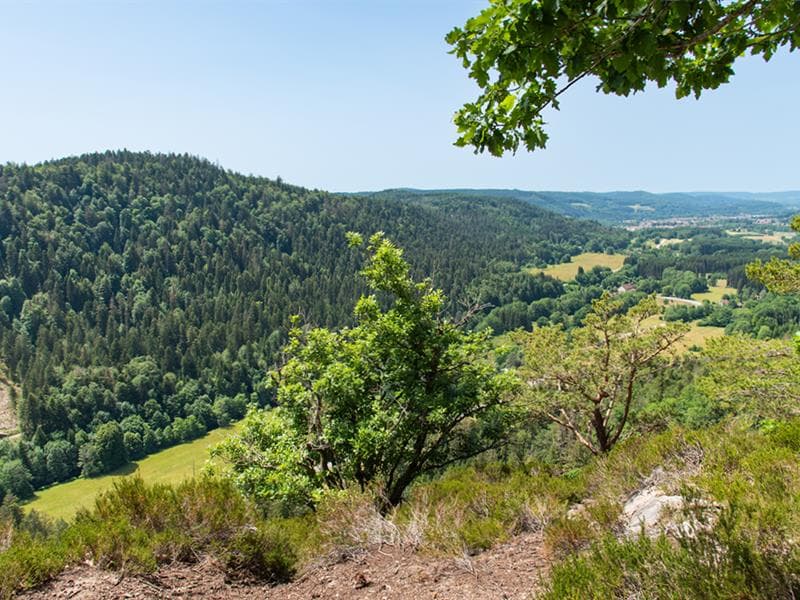 Le point de vue de Giropaire