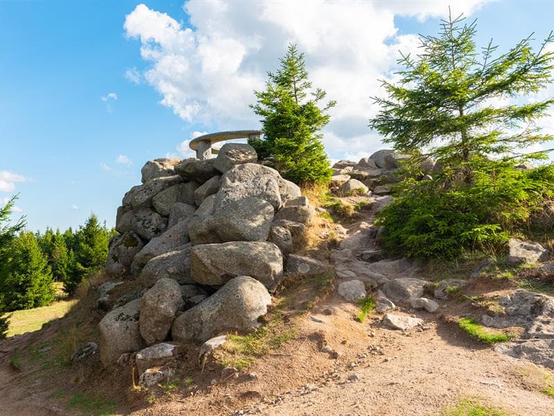La tête de Grouvelin
