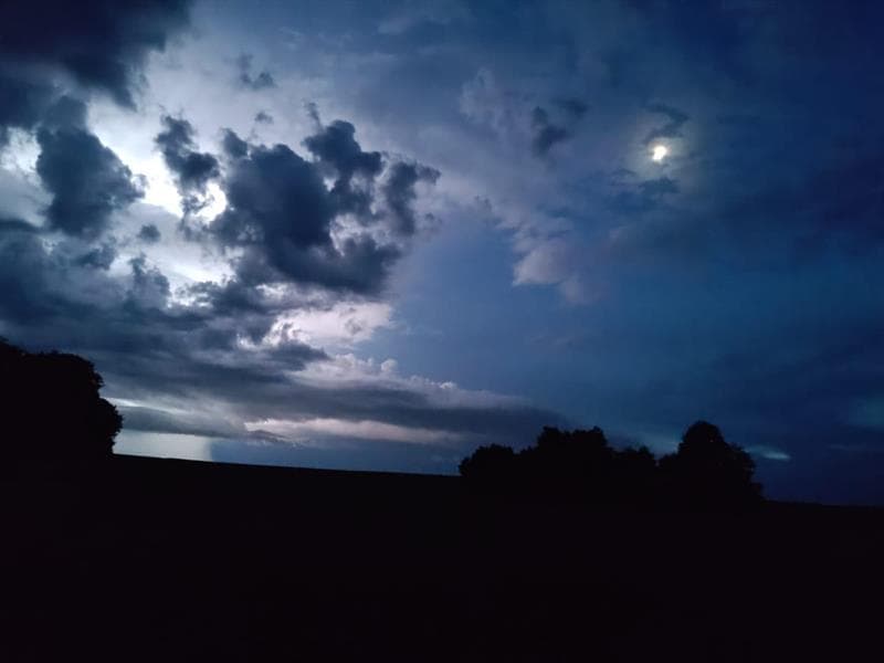 Sortie nocturne