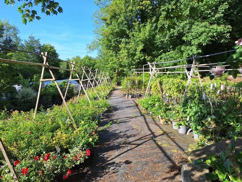 Jardin des Grimpantes