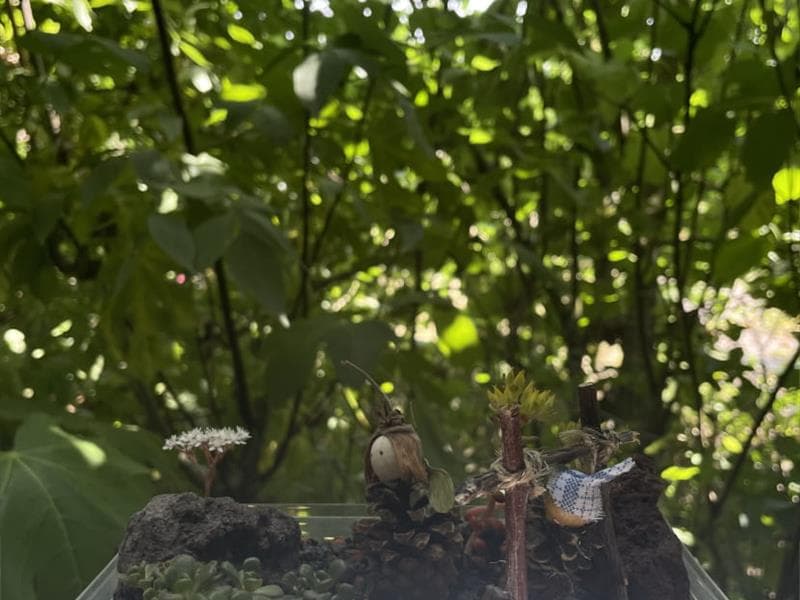 Atelier enfant 5-10 ans : Mini-jardin