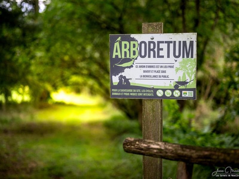 Visite commentée de l'arboretum de la Maison Güth