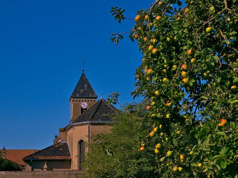 Fresques - Église Saint-Pierre et Saint-Paul