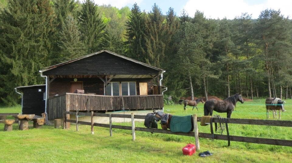 Gîte équestre à l'ancien ranch