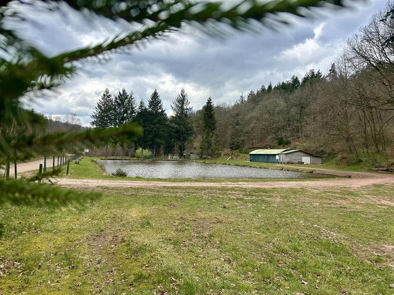 Étang de pêche la Neumühle