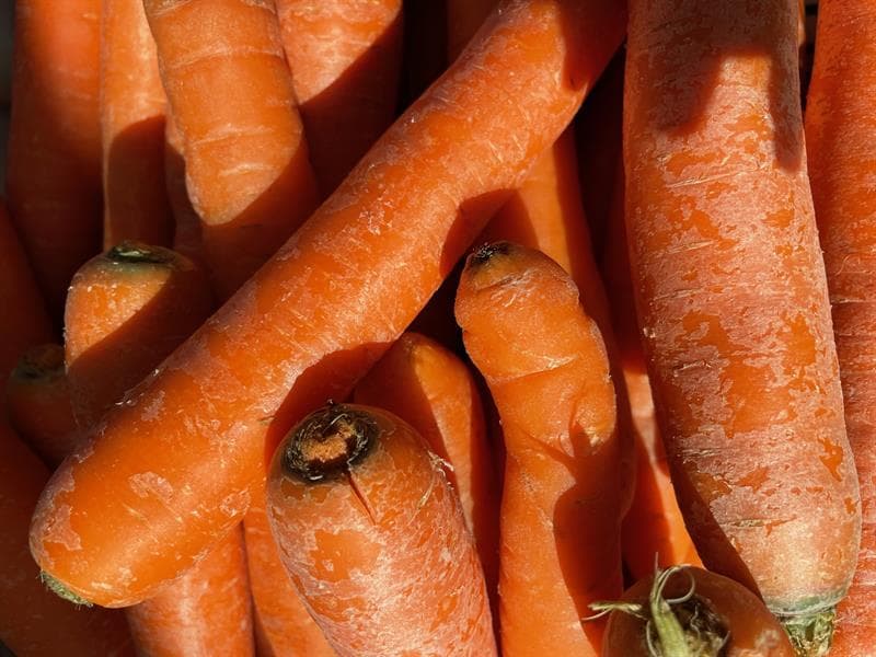Le potager du bitcherland