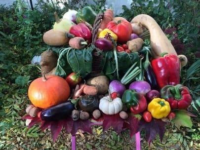 Exploitation agricole Sylvie Bourguignon